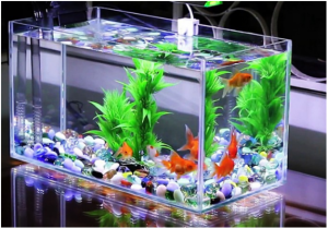 Năm gợi ý trang trí bàn làm việc hợp phong thủy 9 be ca mini