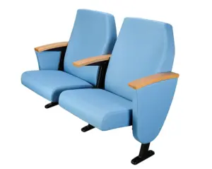 Ghế hội trường Z 700 BFM SFM