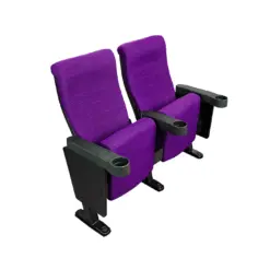 Ghe rap chieu phim CAM 800 4