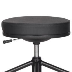 stool1